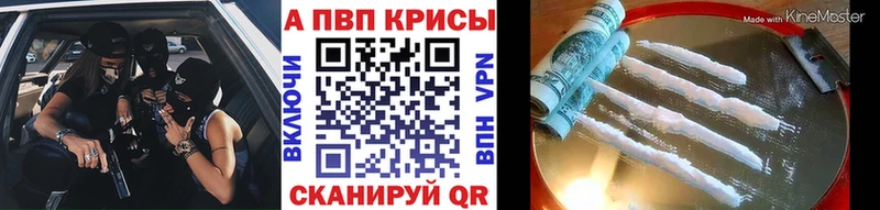 дарнет шоп  Брюховецкая  Alfa_PVP крисы CK 